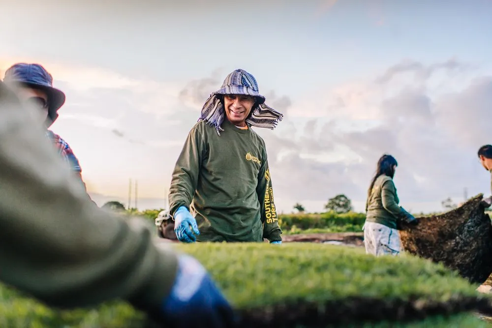 Local landscaping services experts serving Mililani, HI - Southern Turf Hawaii