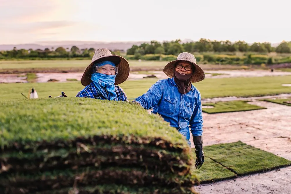 Expert yard cleanup service near you across Mililani, HI - Southern Turf Hawaii