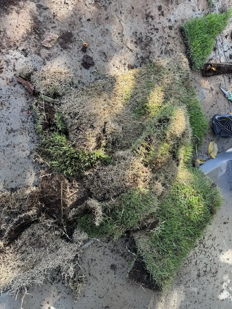 Reliable landscaping services experts serving Mililani, HI - Southern Turf Hawaii
