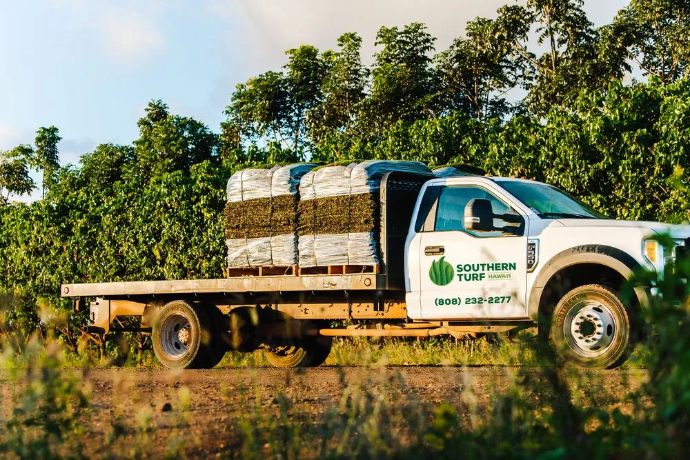 Professional yard cleanup service experts serving Mililani, HI - Southern Turf Hawaii