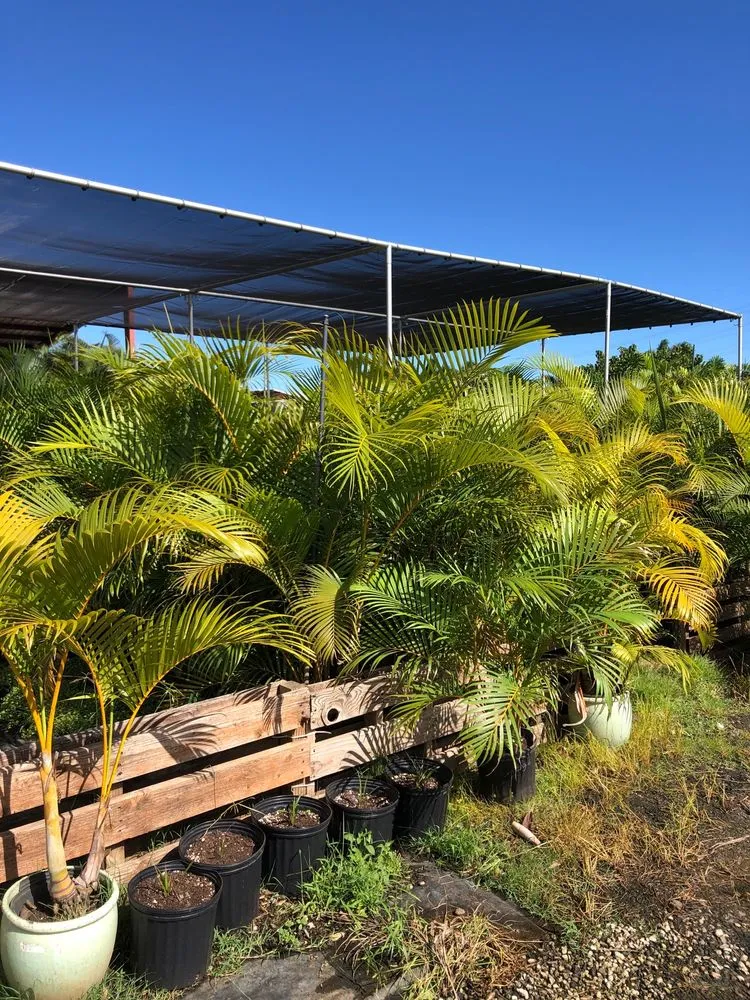 Top-rated garden landscaping in Mililani, HI by Southern Turf Hawaii