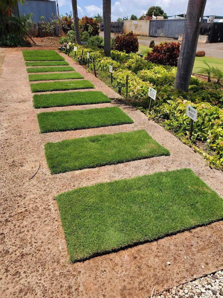 Custom residential landscaping in Mililani, HI - Southern Turf Hawaii