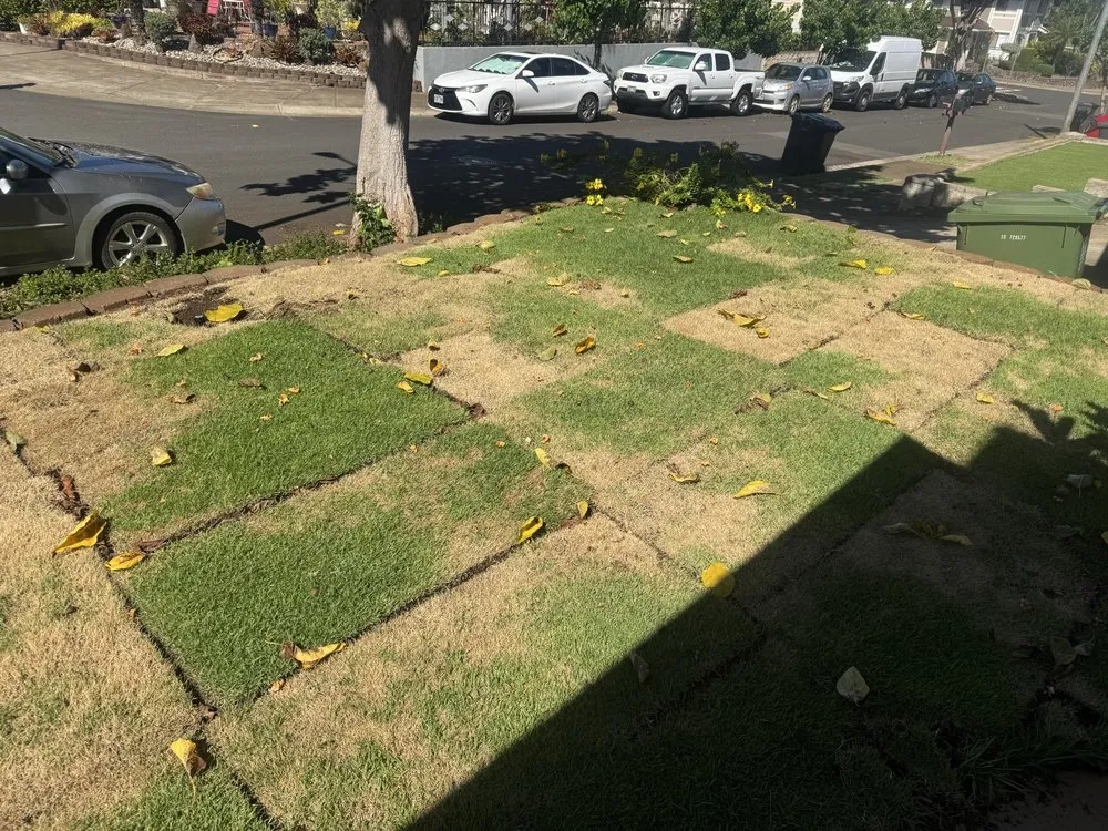 Affordable residential landscaping for outdoor upgrades in Mililani, HI by Southern Turf Hawaii