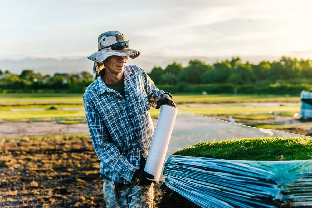 Expert lawn care service near you across Mililani, HI - Southern Turf Hawaii