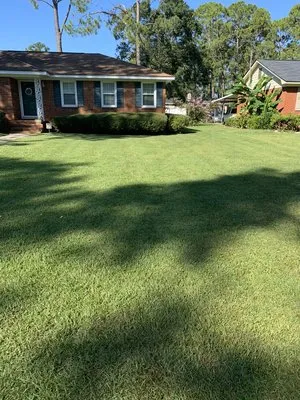 Southern Turf Lawn Care & Maintenance