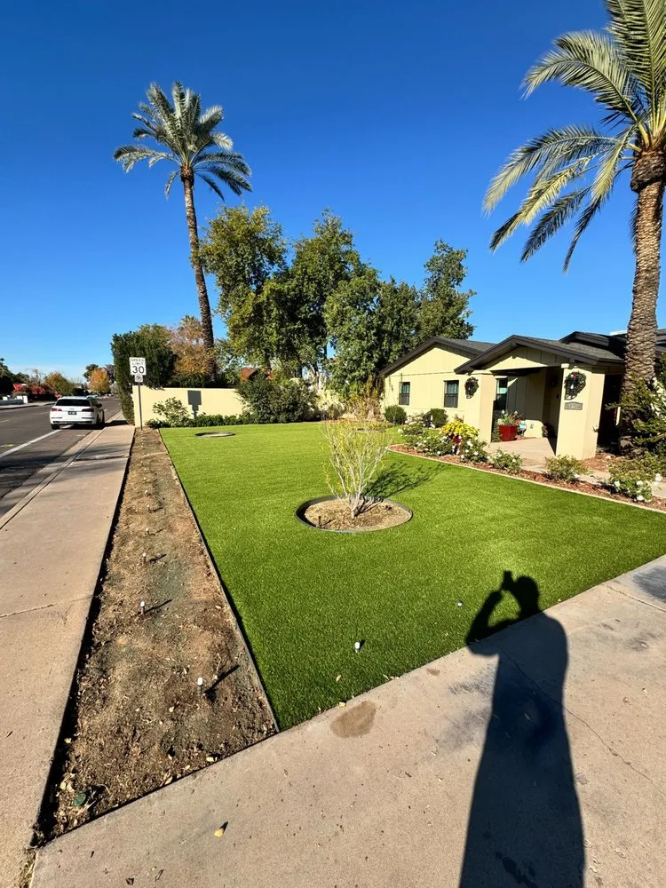 Expert landscape design in Tucson, AZ by Southern Turf