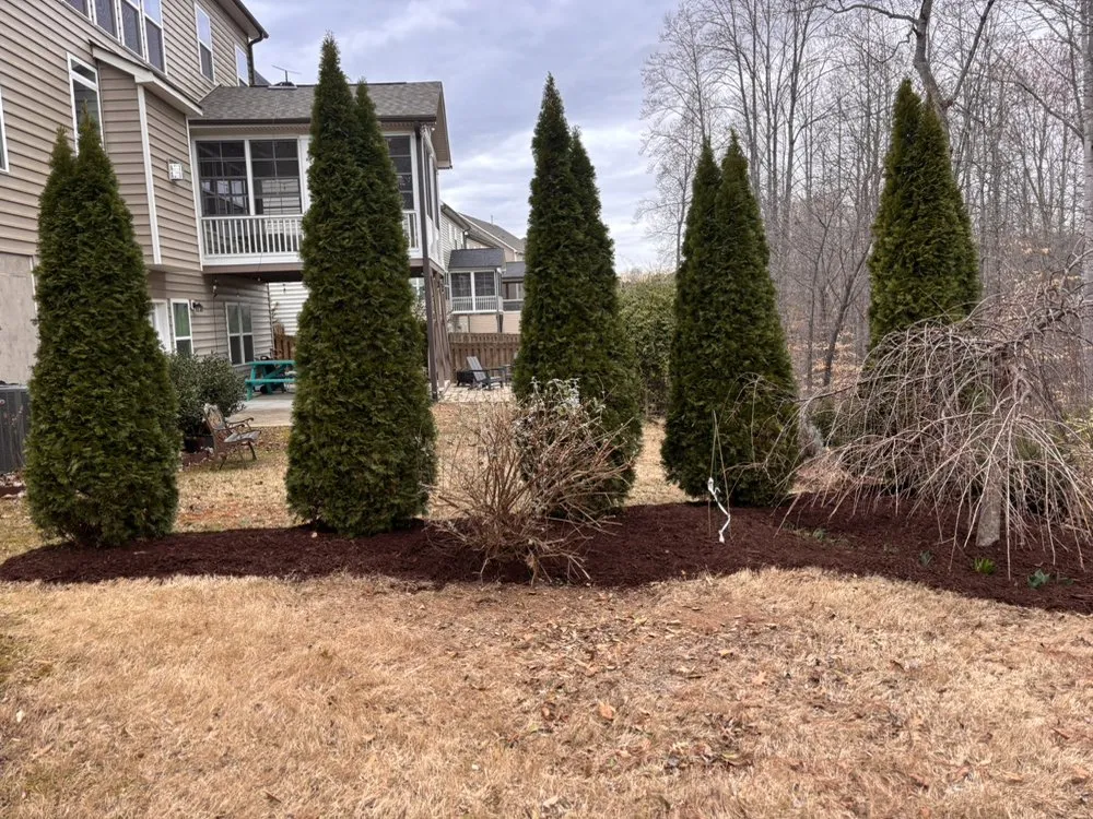 Top-rated yard cleanup service for outdoor upgrades across Chapel Hill, NC - Southern View Landscaping
