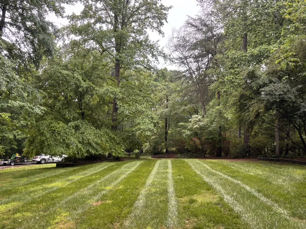 Custom garden landscaping for year-round maintenance across Chapel Hill, NC - Southern View Landscaping
