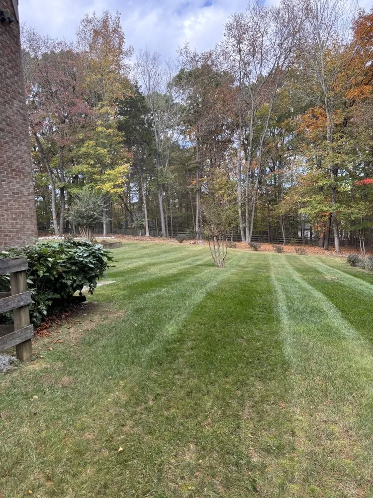 Custom yard maintenance in Chapel Hill, NC - Southern View Landscaping