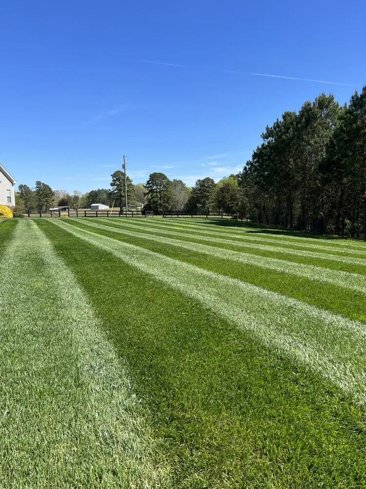 Affordable outdoor landscaping for outdoor upgrades in Chapel Hill, NC by Southern View Landscaping