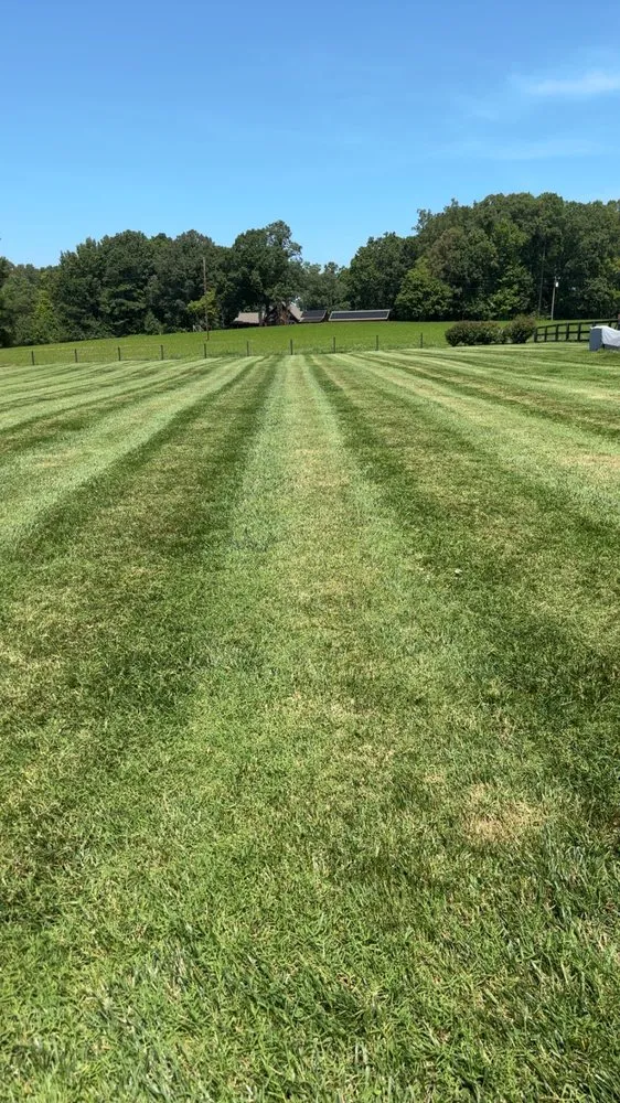 Custom yard cleanup service for residential properties in Chapel Hill, NC by Southern View Landscaping
