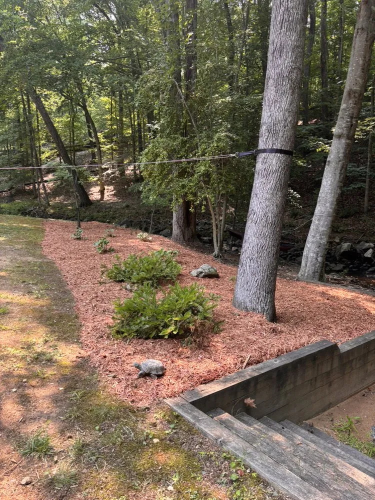Trusted residential landscaping in Chapel Hill, NC by Southern View Landscaping
