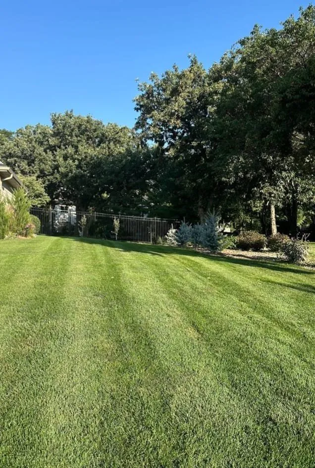 Expert landscape installation for outdoor upgrades across Liberty, SC - Southern View Lawn Maintenance