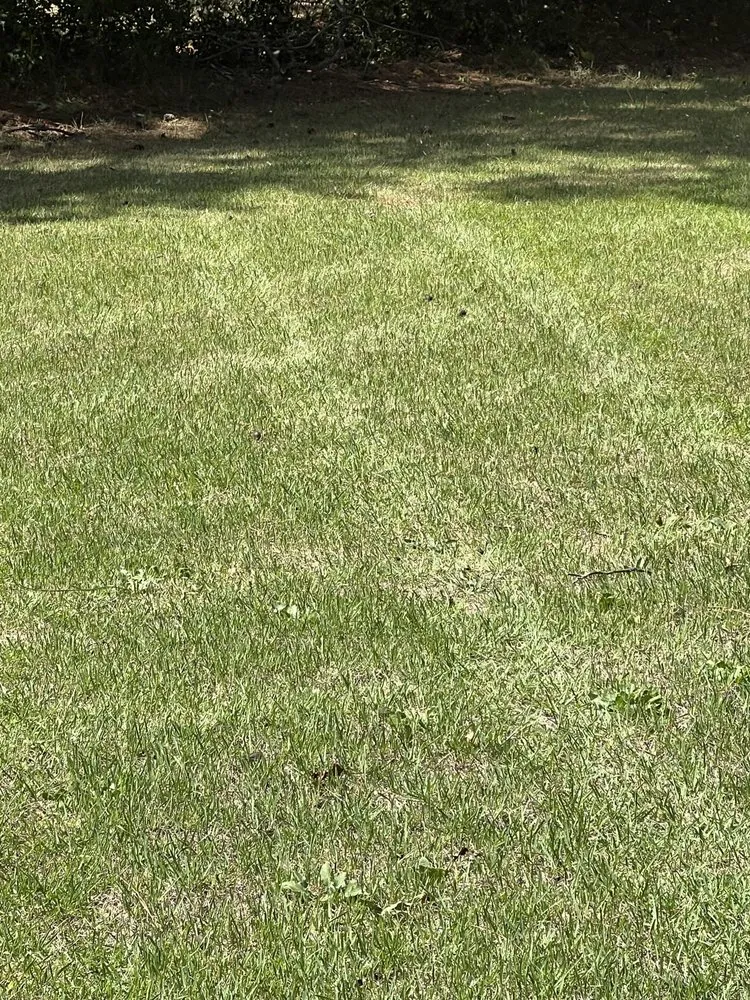 Expert landscape design experts serving Anderson, SC - Southern Visions Lawn & Landscape