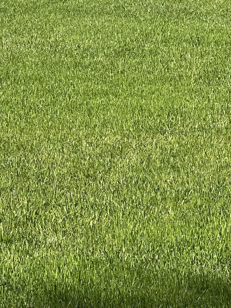 Professional garden landscaping in Anderson, SC - Southern Visions Lawn & Landscape