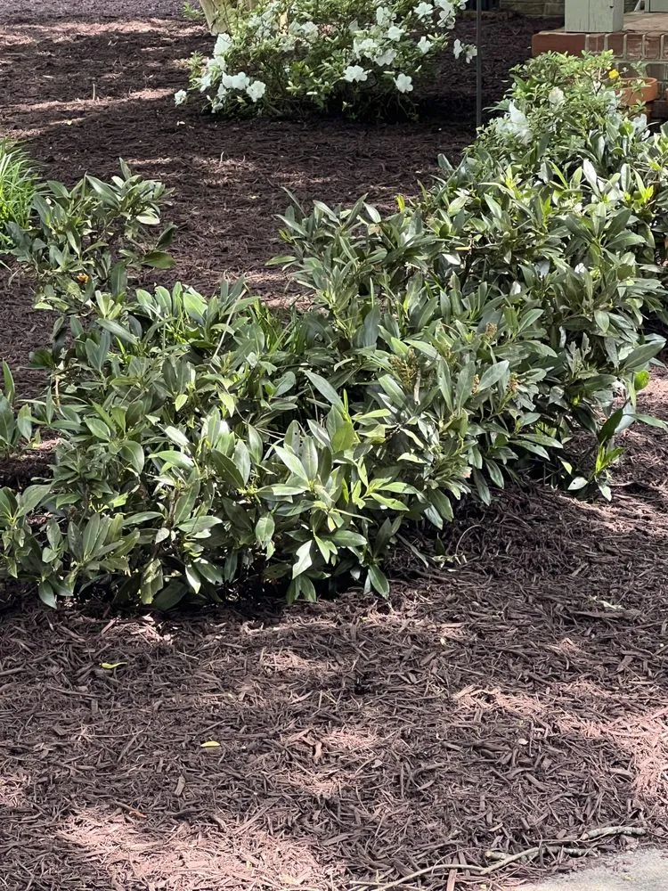 Local residential landscaping near you across Anderson, SC - Southern Visions Lawn & Landscape