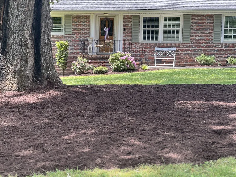 Local yard maintenance in Anderson, SC - Southern Visions Lawn & Landscape