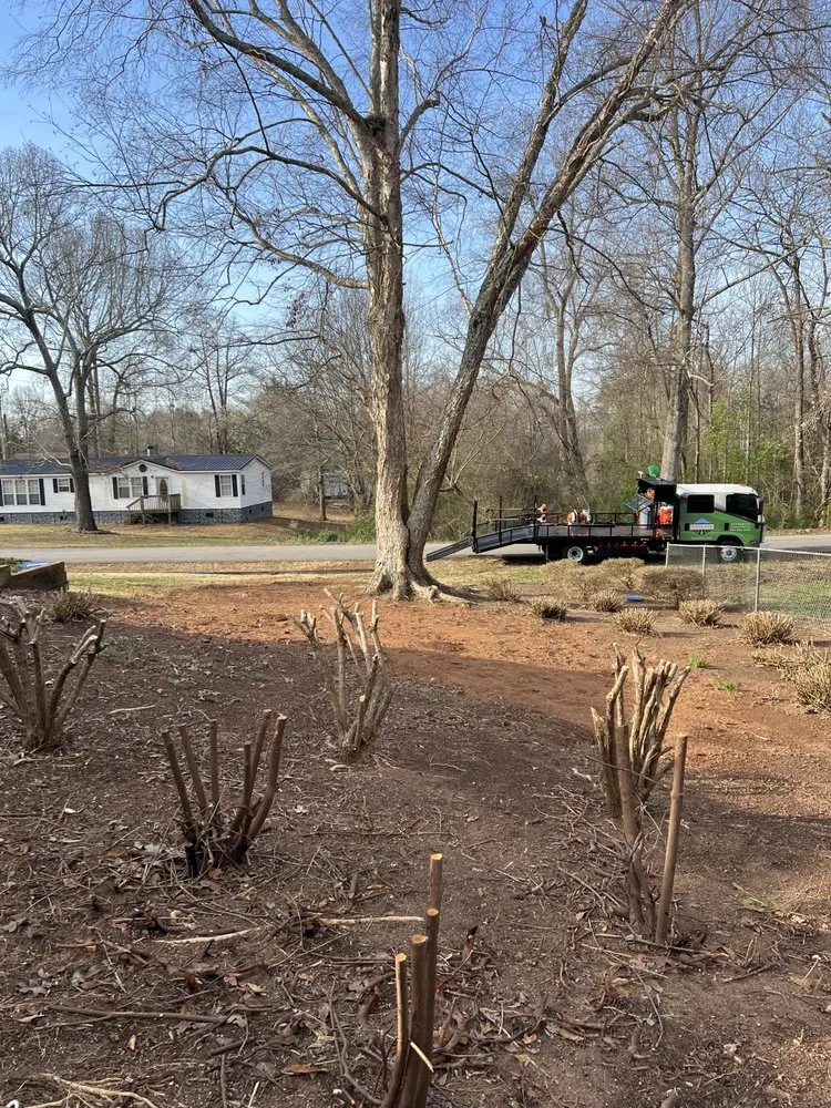 Local landscape installation for outdoor upgrades in Anderson, SC by Southern Visions Lawn & Landscape