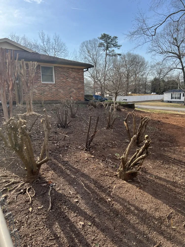 Local landscape installation experts serving Anderson, SC - Southern Visions Lawn & Landscape