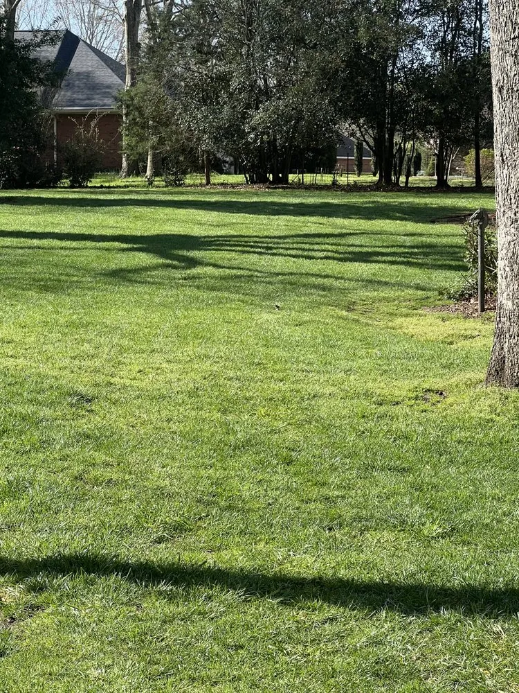 Top-rated yard cleanup service with custom design across Anderson, SC - Southern Visions Lawn & Landscape