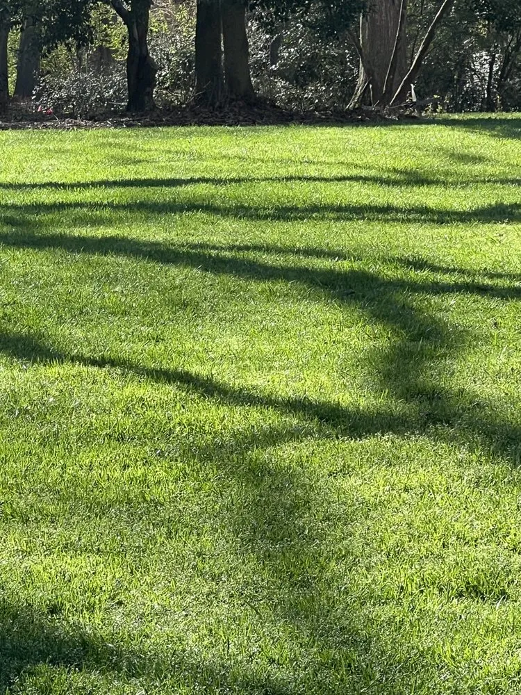 Expert residential landscaping experts serving Anderson, SC - Southern Visions Lawn & Landscape