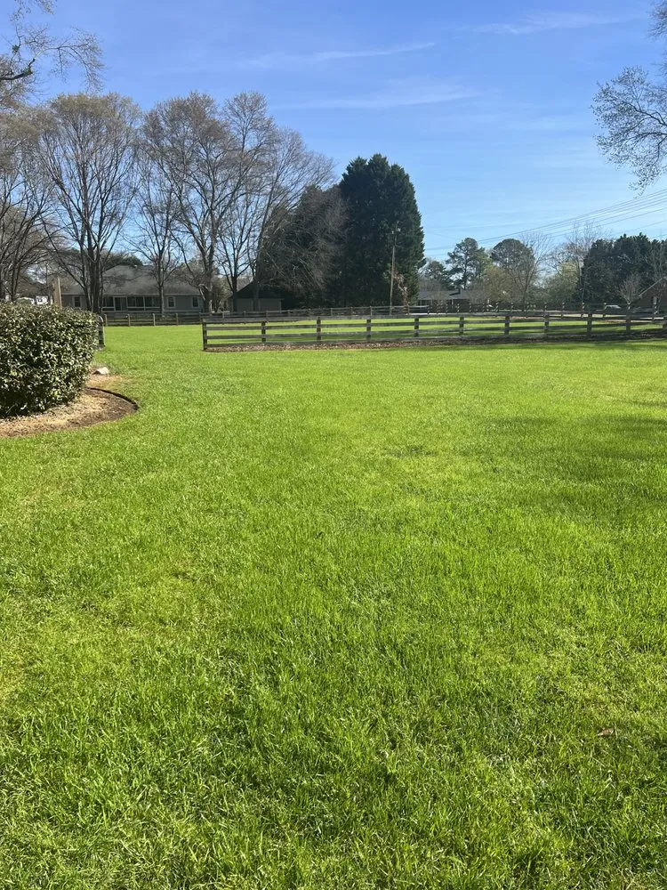 Expert lawn care service in Anderson, SC - Southern Visions Lawn & Landscape