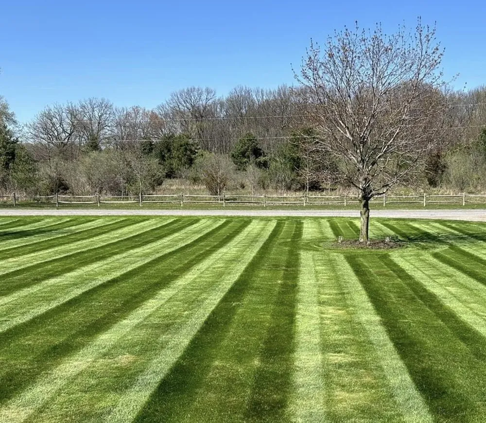 Trusted outdoor landscaping experts serving Anderson, SC - Southern Visions Lawn & Landscape