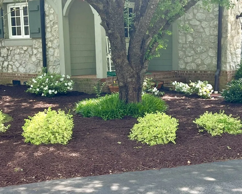 Reliable landscaping services in Anderson, SC - Southern Visions Lawn & Landscape