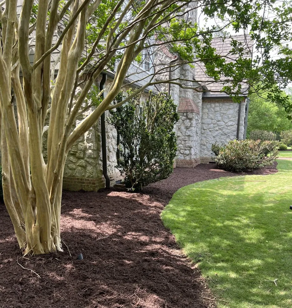 Trusted yard maintenance experts serving Anderson, SC - Southern Visions Lawn & Landscape