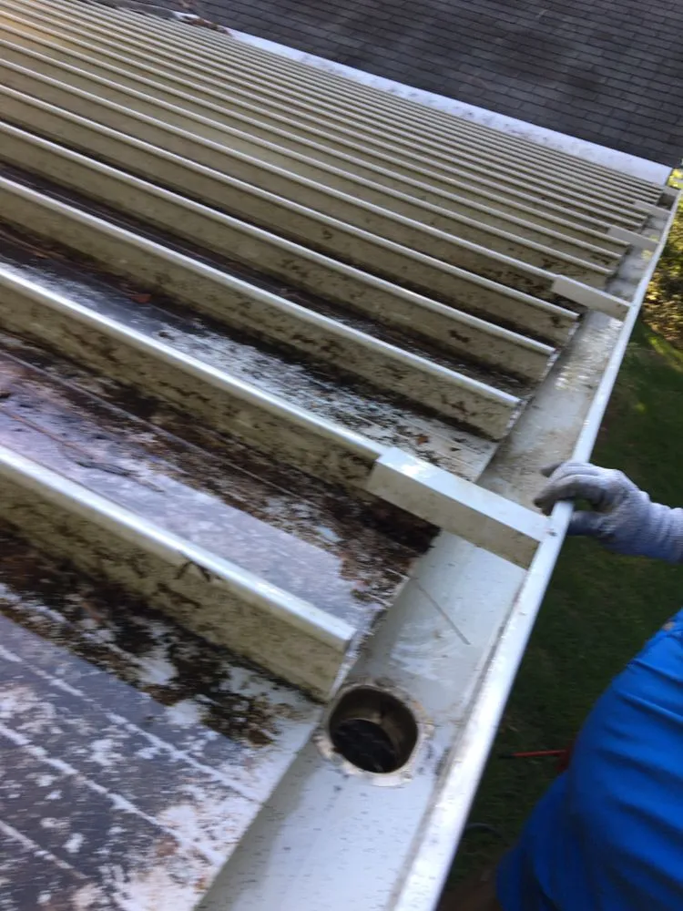 Trusted landscape design experts serving Mobile, AL - Southern Washing & Turf