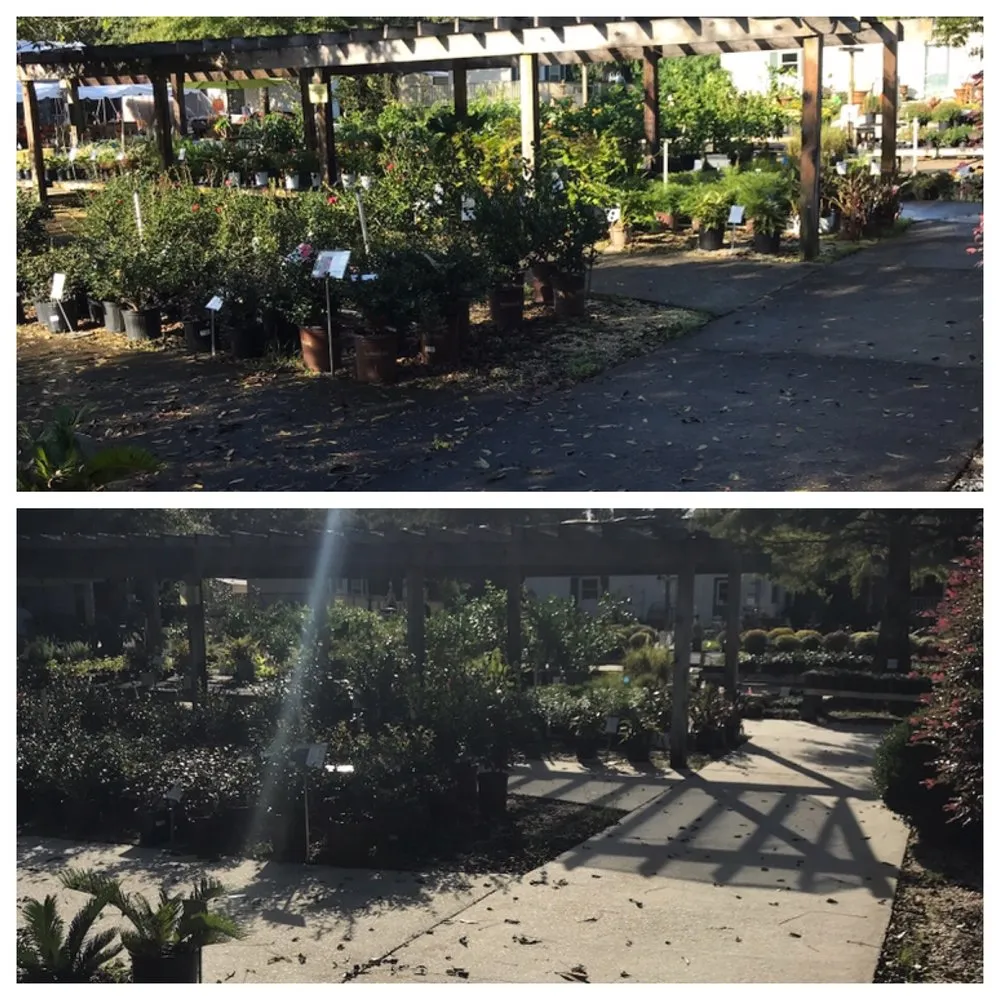 Top-rated outdoor landscaping in Mobile, AL - Southern Washing & Turf