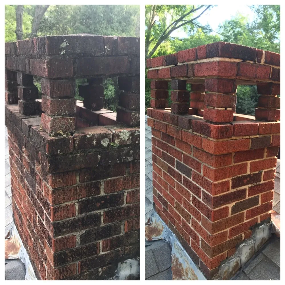 Top-rated yard cleanup service experts serving Mobile, AL - Southern Washing & Turf