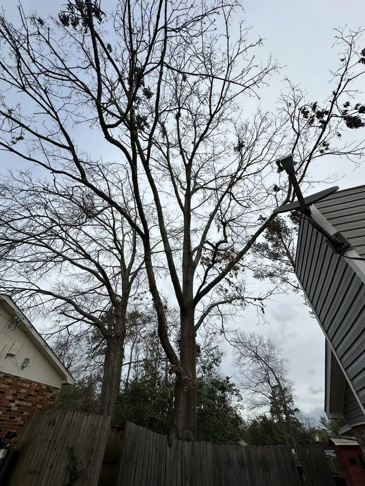 Affordable lawn mowing service for homes in Evans, GA by Southern Willow Land Solutions