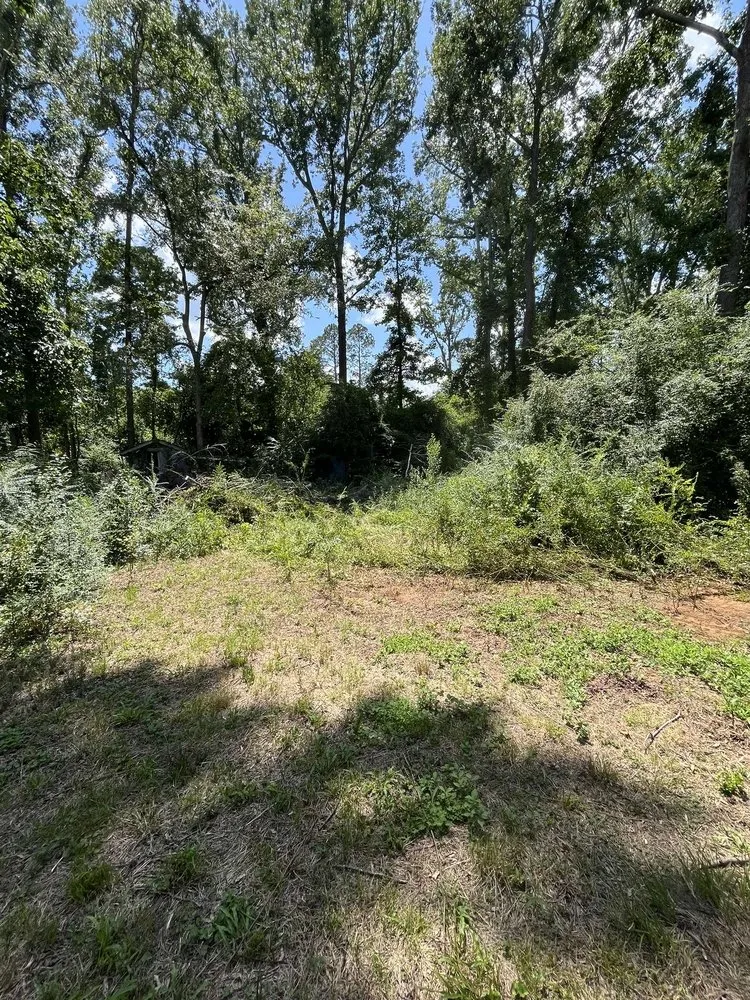 Custom yard cleanup service for outdoor upgrades in Evans, GA by Southern Willow Land Solutions