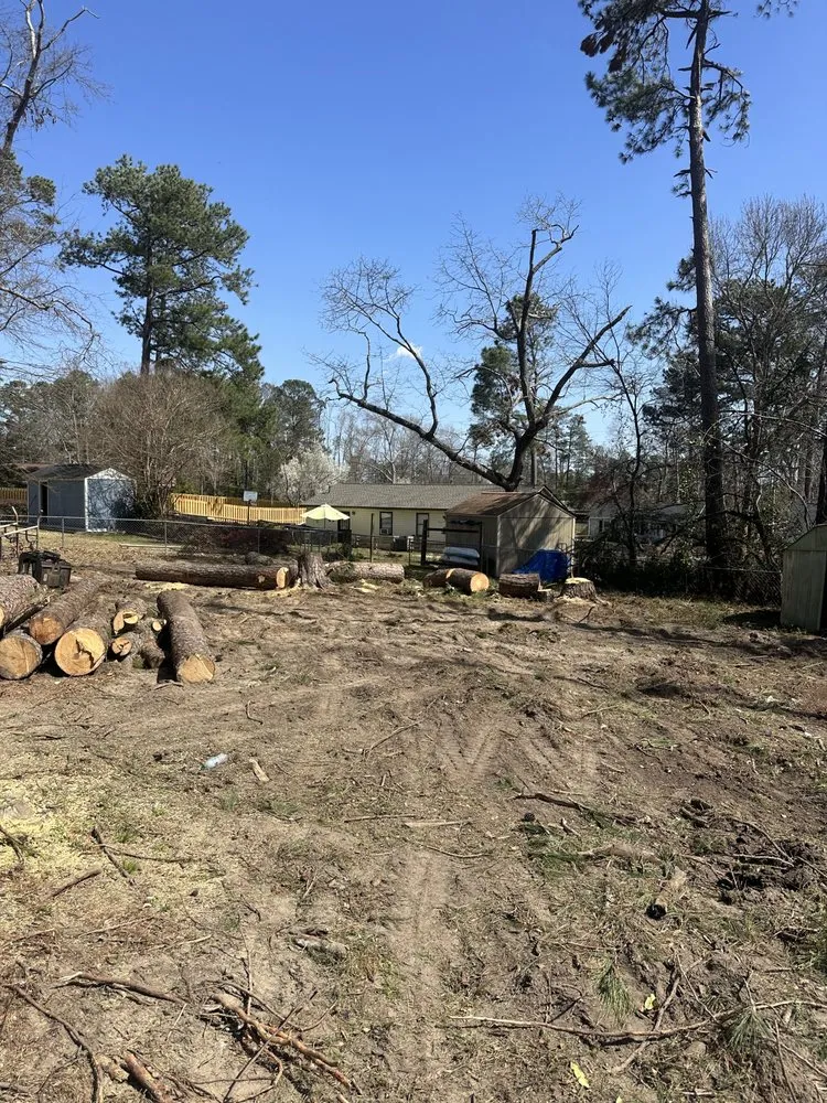 Expert landscaping services in Evans, GA - Southern Willow Land Solutions