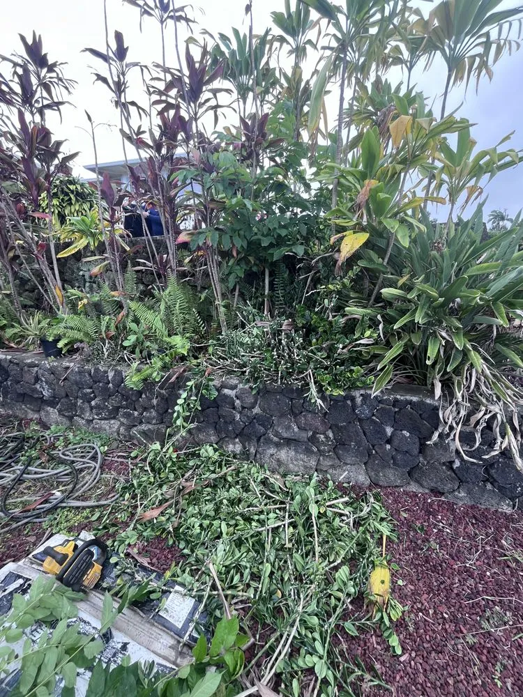 Expert lawn mowing service in Kailua-Kona, HI - Southern Winds Landscaping