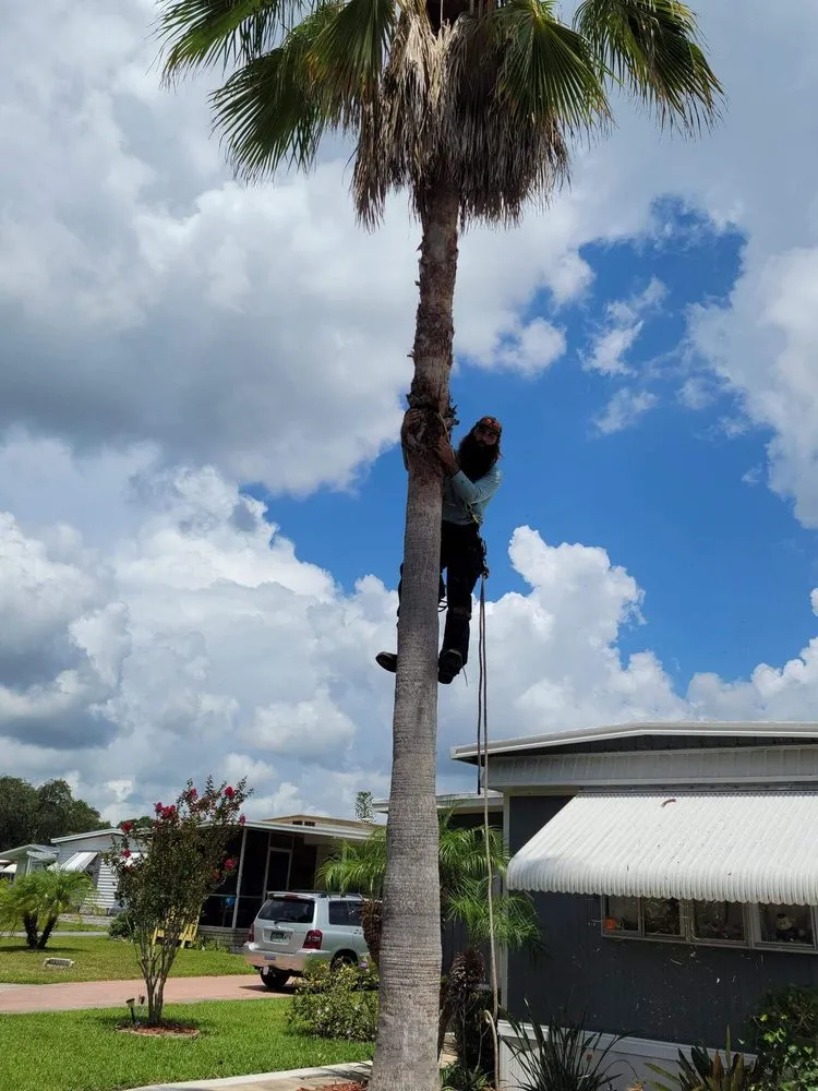 Expert landscaping services experts serving Lakeland, FL - Southern workz