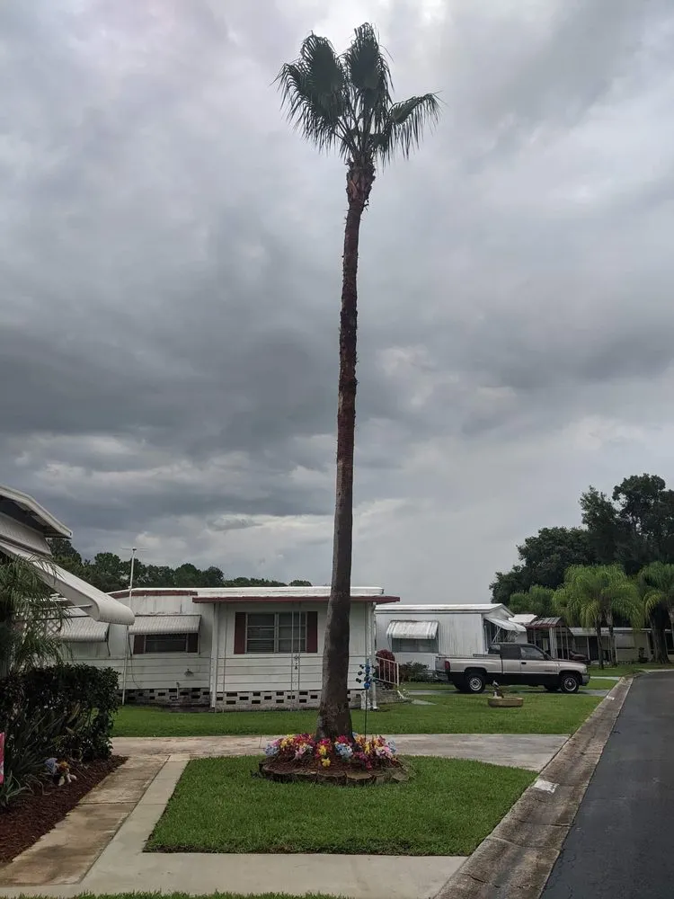 Local landscape installation for beautiful yards across Lakeland, FL - Southern workz
