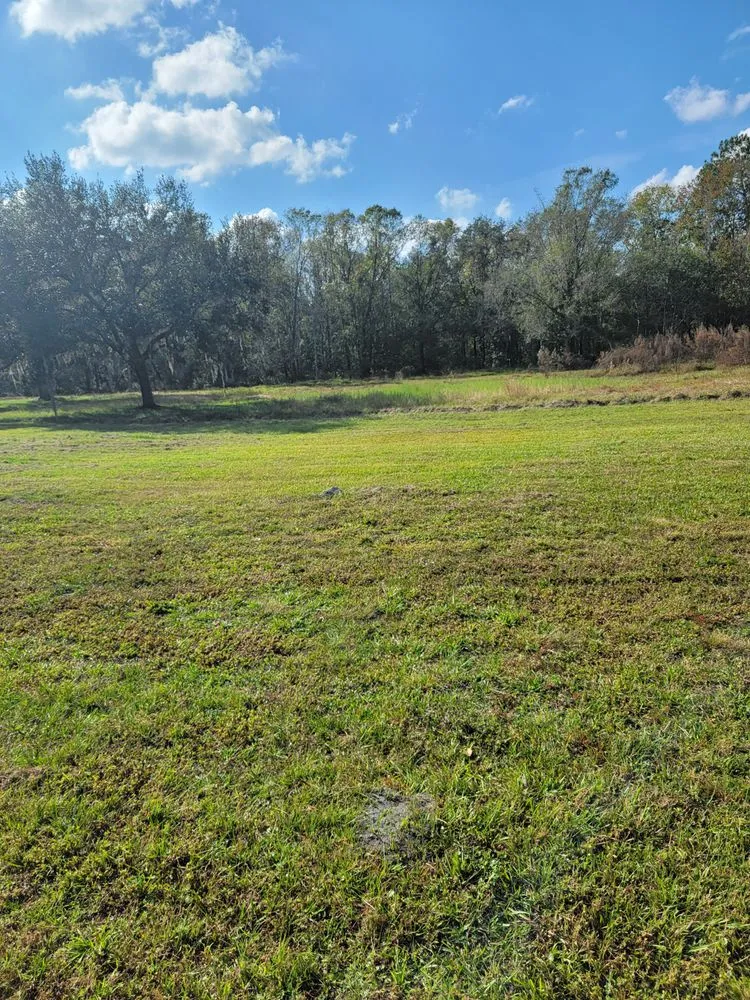 Reliable garden landscaping near you across Lakeland, FL - Southern workz