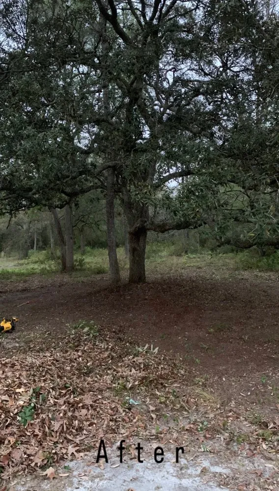 Local landscape installation in Hortense, GA by Southern Yard Maintenance