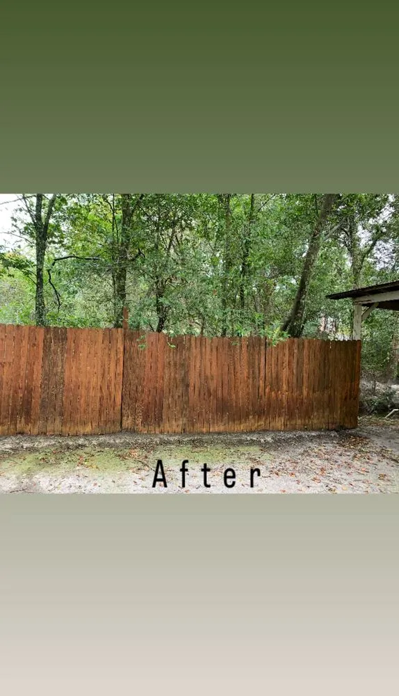 Custom yard cleanup service for homes in Hortense, GA by Southern Yard Maintenance