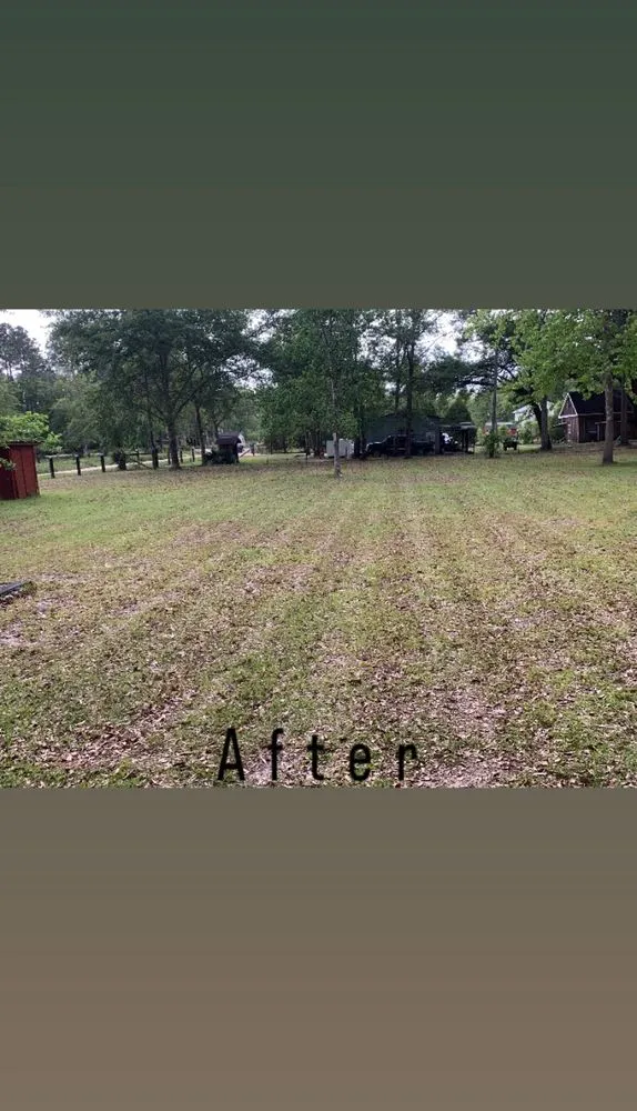 Local landscape installation in Hortense, GA by Southern Yard Maintenance