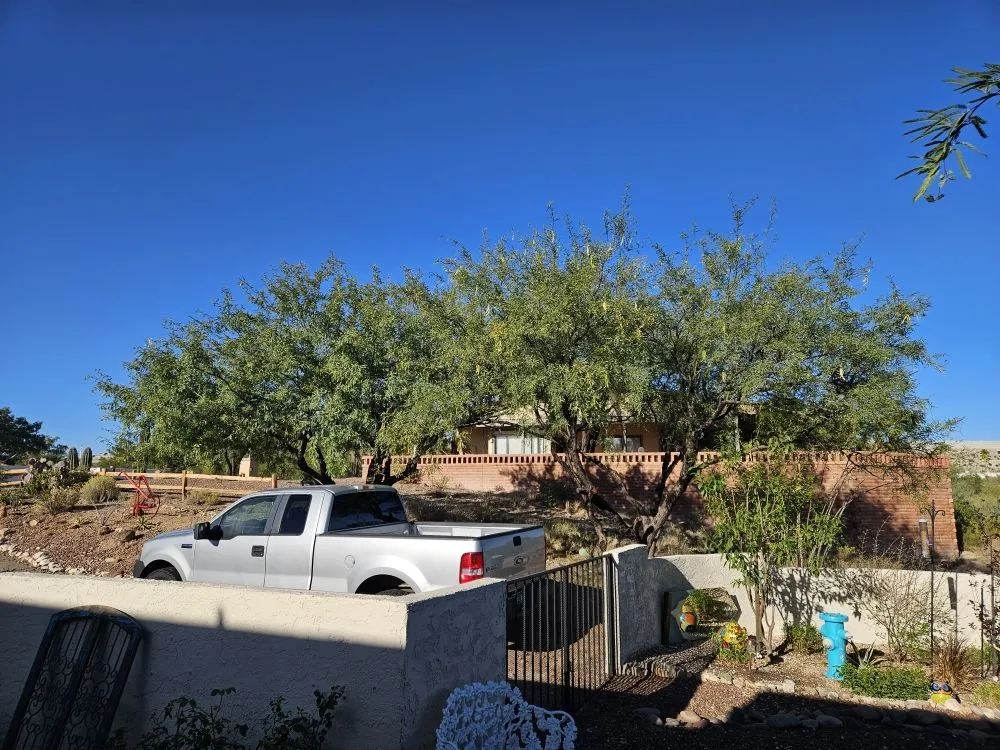 Reliable lawn mowing service for homes across Amado, AZ - Southern Yard Services