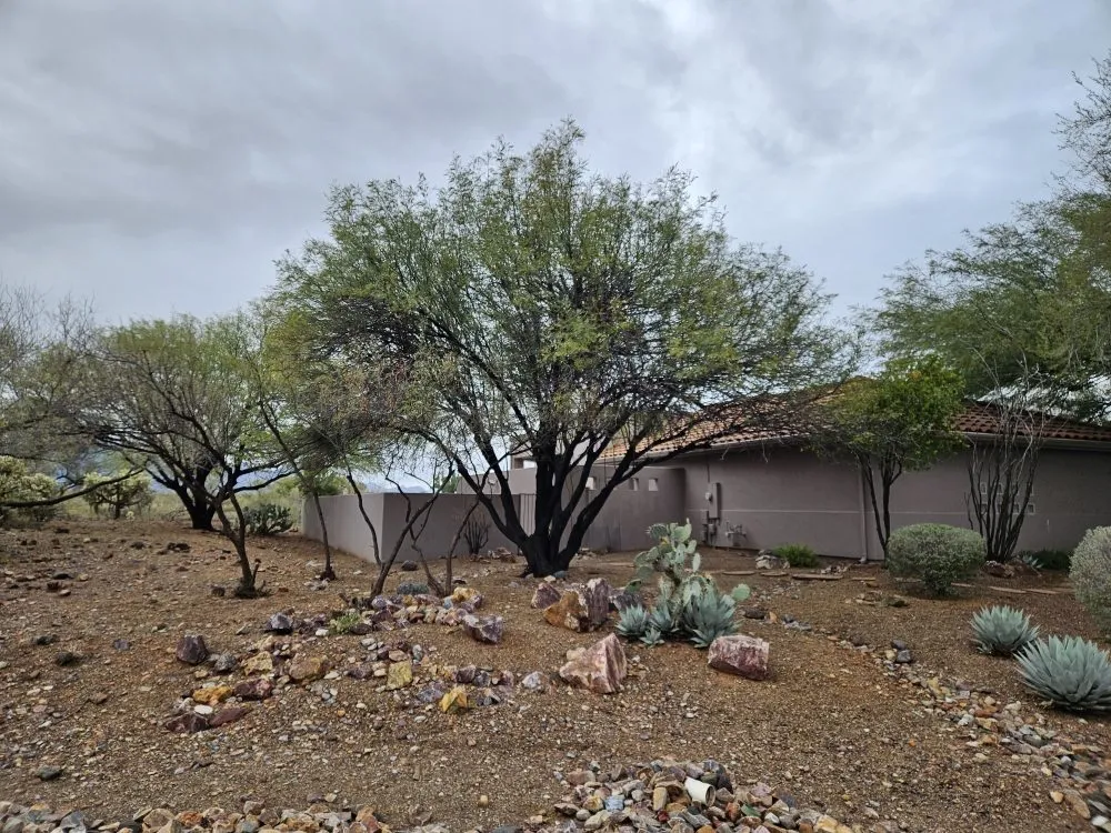 Custom lawn care service in Amado, AZ by Southern Yard Services
