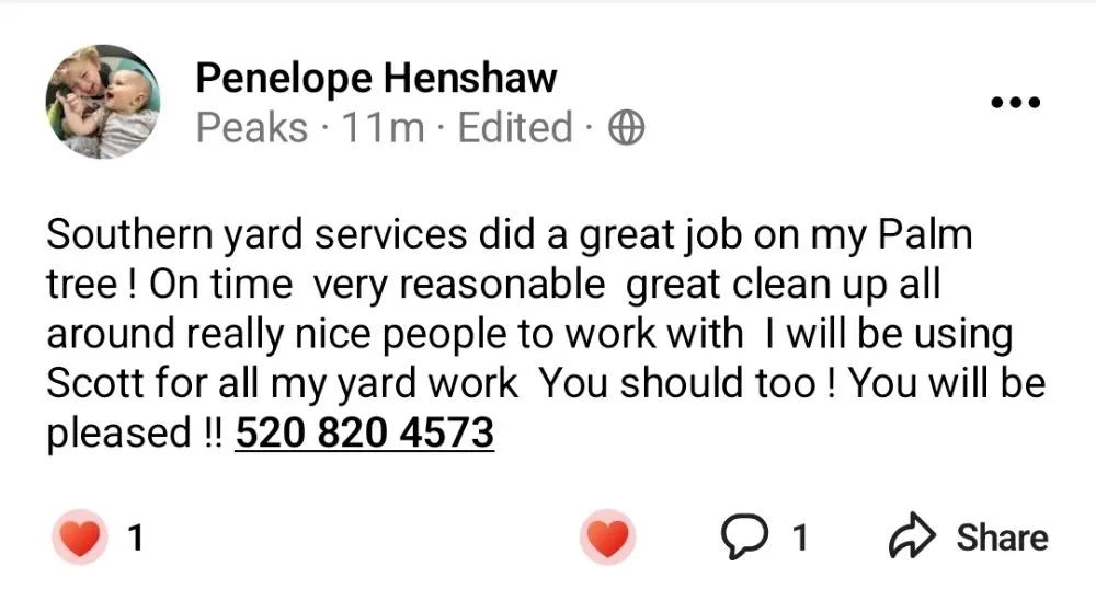 Custom yard maintenance experts serving Amado, AZ - Southern Yard Services