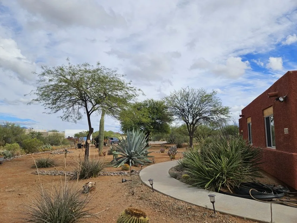 Reliable outdoor landscaping in Amado, AZ by Southern Yard Services