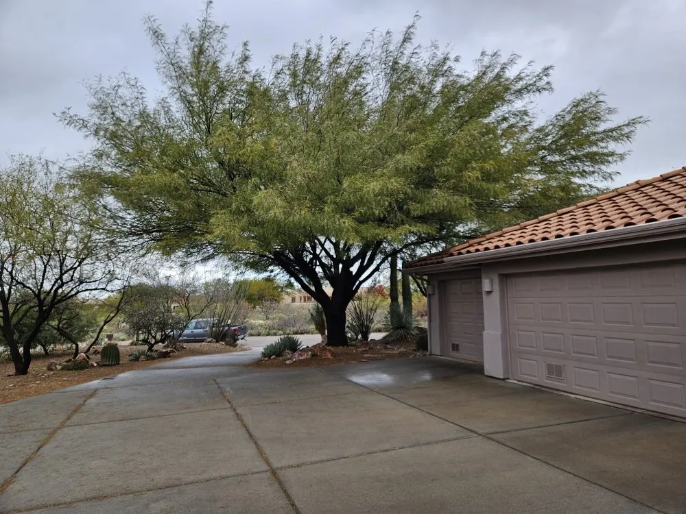 Professional landscape design in Amado, AZ by Southern Yard Services