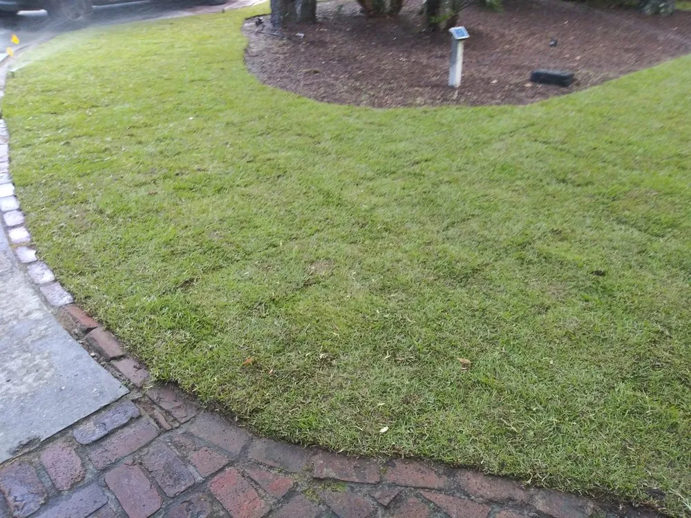 Top-rated outdoor landscaping experts serving Hilton Head Island, SC - SouthernCoast Landscaping