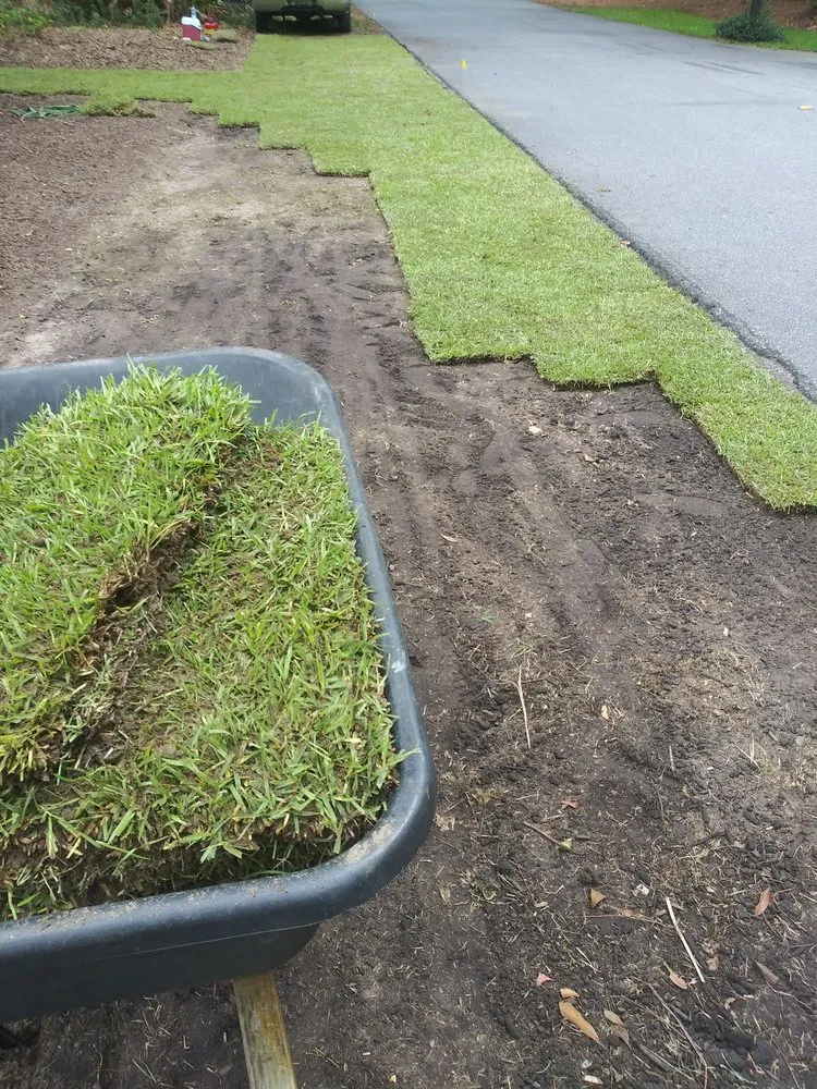 Affordable yard cleanup service in Hilton Head Island, SC by SouthernCoast Landscaping