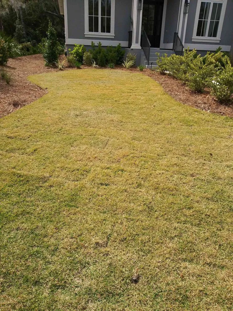 Trusted yard maintenance in Hilton Head Island, SC - SouthernCoast Landscaping